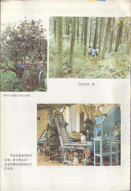 《四川省筠连县地名录》.pdf电子版_四川省志预览图3