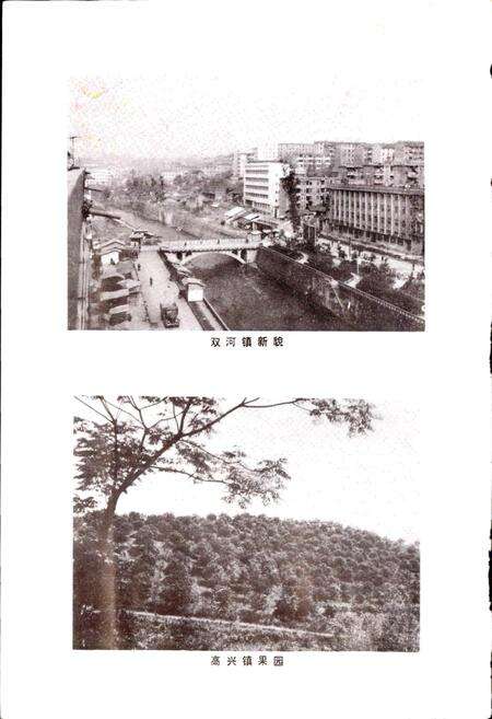 《四川省华云工农区地名录》.pdf电子版_四川省志预览图5