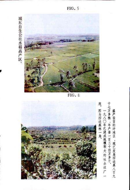 《四川省岳池县地名录》.pdf电子版_四川省志预览图5