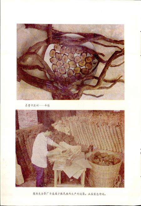 《四川省天全县地名录》.pdf电子版_四川省志预览图3