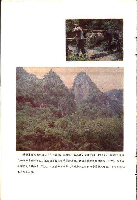 《四川省宝兴县地名录》.pdf电子版_四川省志预览图3