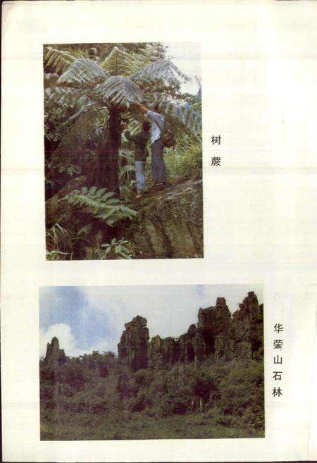 《四川省邻水县地名录》.pdf电子版_四川省志预览图3