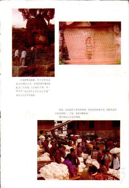 《四川省仁寿县地名录》.pdf电子版_四川省志预览图4