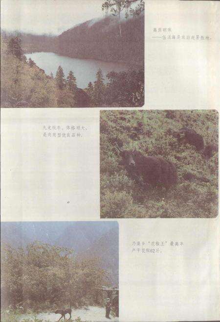 《四川省甘孜藏族自治州九龙县地名录》.pdf电子版_四川省志预览图5