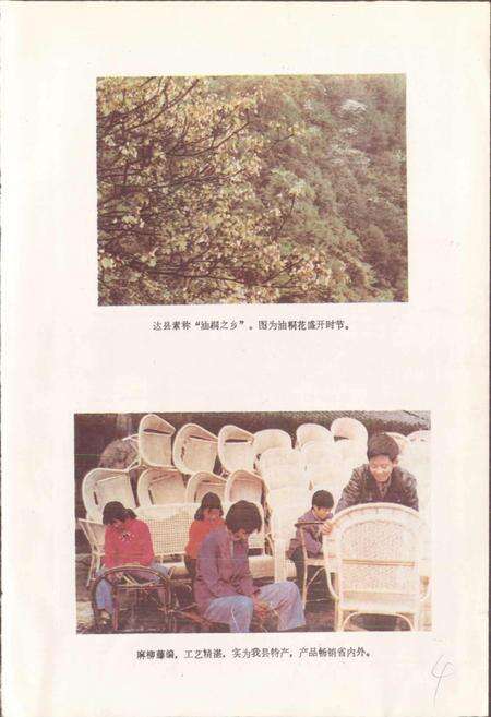 《四川省达县地名录》.pdf电子版_四川省志预览图5