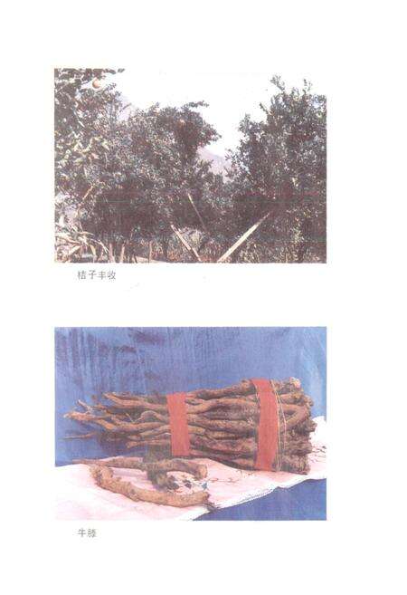 《四川省金口河工农区地名录》.pdf电子版_四川省志预览图3