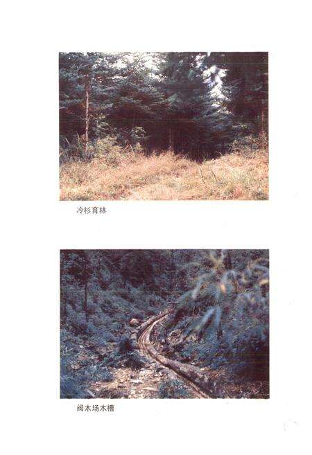 《四川省金口河工农区地名录》.pdf电子版_四川省志预览图4