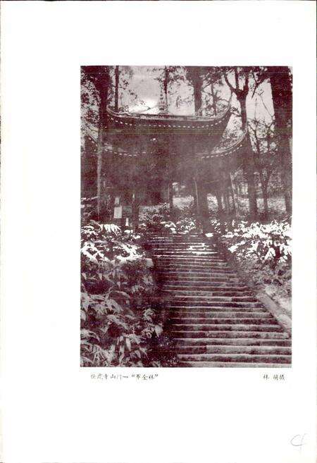 《四川省峨眉县地名录》.pdf电子版_四川省志预览图5