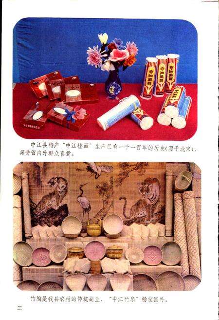 《四川省中江县地名录》.pdf电子版_四川省志预览图3