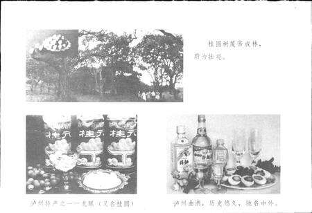 《四川省泸州市地名录》.pdf电子版_四川省志预览图4