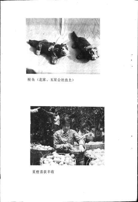 《四川省蒲江县地名录》.pdf电子版_四川省志预览图4