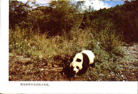 《四川省平武县地名录》.pdf电子版_四川省志预览图3