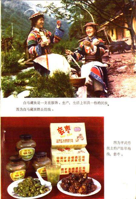 《四川省平武县地名录》.pdf电子版_四川省志预览图4