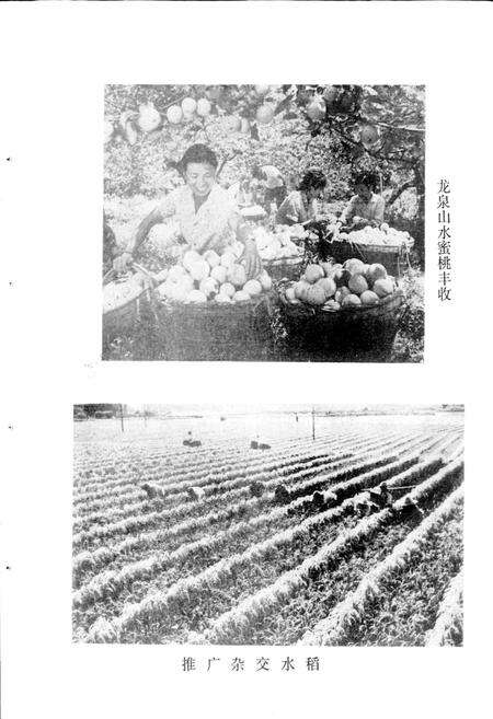 《四川省成都市地名录第三分册龙泉驿区》.pdf电子版_四川省志预览图3