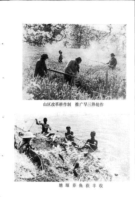 《四川省成都市地名录第三分册龙泉驿区》.pdf电子版_四川省志预览图5