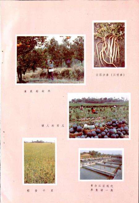 《四川省成都市地名录第四分册》.pdf电子版_四川省志预览图4