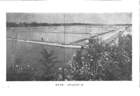 《四川省新津县地名录》.pdf电子版_四川省志预览图4