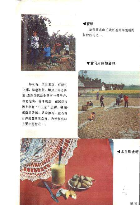 《四川省双流县地名录》.pdf电子版_四川省志预览图4