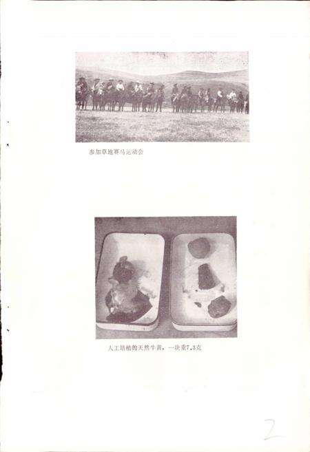 《四川省阿坝藏族自治州壤塘县地名录》.pdf电子版_四川省志预览图4