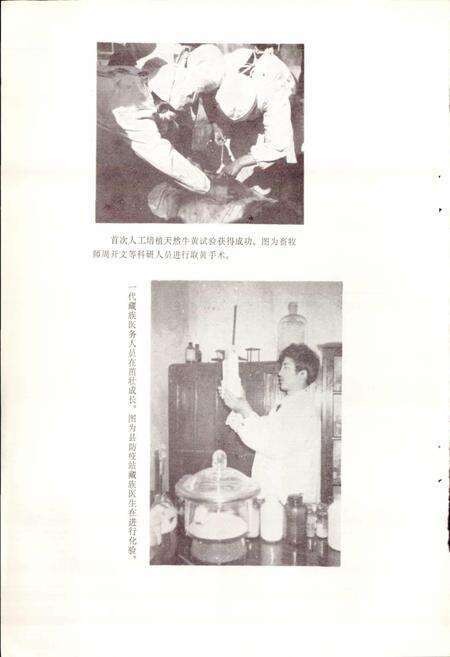 《四川省阿坝藏族自治州壤塘县地名录》.pdf电子版_四川省志预览图5