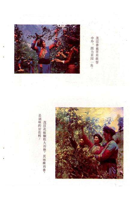 《四川省阿坝藏族自治州茂汶羌族自治县地名录》.pdf电子版_四川省志预览图3