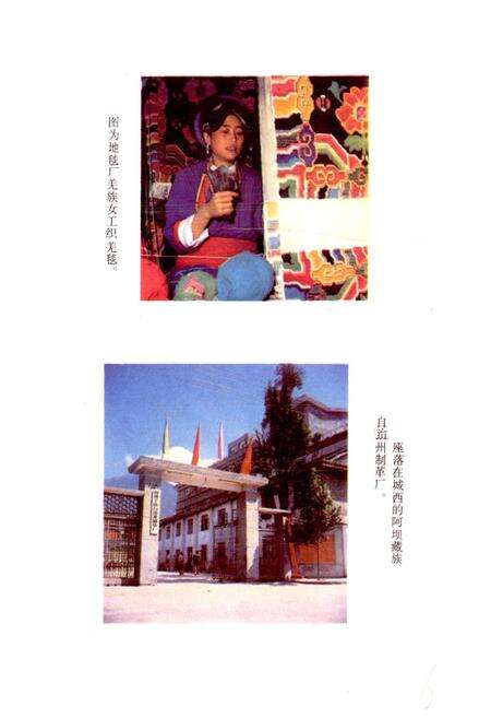 《四川省阿坝藏族自治州茂汶羌族自治县地名录》.pdf电子版_四川省志预览图5