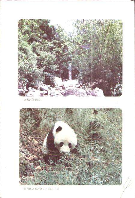 《四川省青川县地名录》.pdf电子版_四川省志预览图4