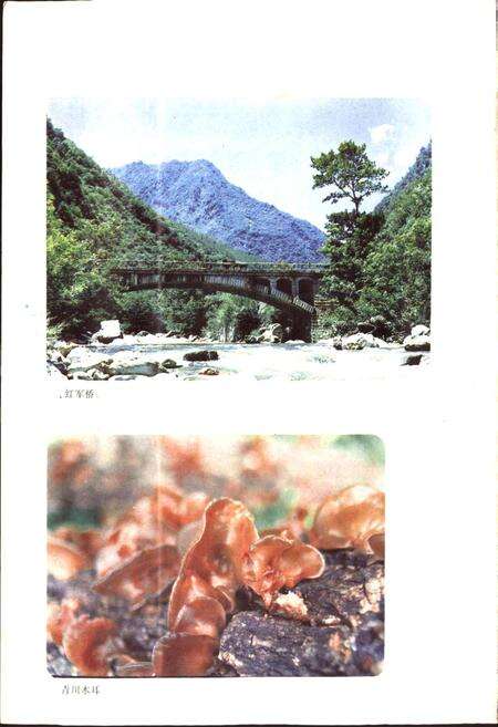 《四川省青川县地名录》.pdf电子版_四川省志预览图5