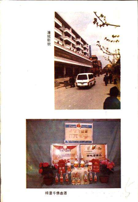 《四川省梓潼县地名录》.pdf电子版_四川省志预览图4