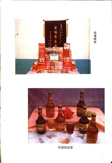 《四川省梓潼县地名录》.pdf电子版_四川省志预览图5