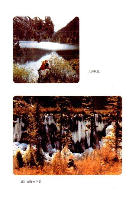 《四川省阿坝藏族自治州南坪县地名录》.pdf电子版_四川省志预览图4