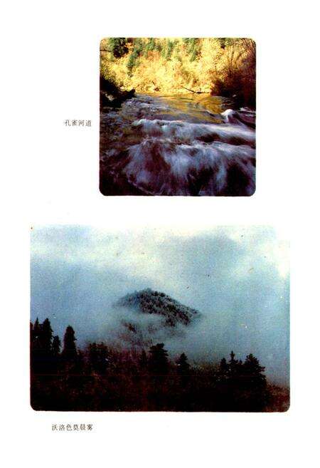 《四川省阿坝藏族自治州南坪县地名录》.pdf电子版_四川省志预览图5