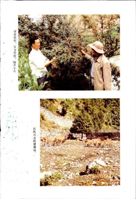 《四川省阿坝藏族自治州理县地名录》.pdf电子版_四川省志预览图4