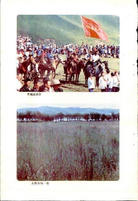 《四川省阿坝藏族自治州红原县地名录》.pdf电子版_四川省志预览图3