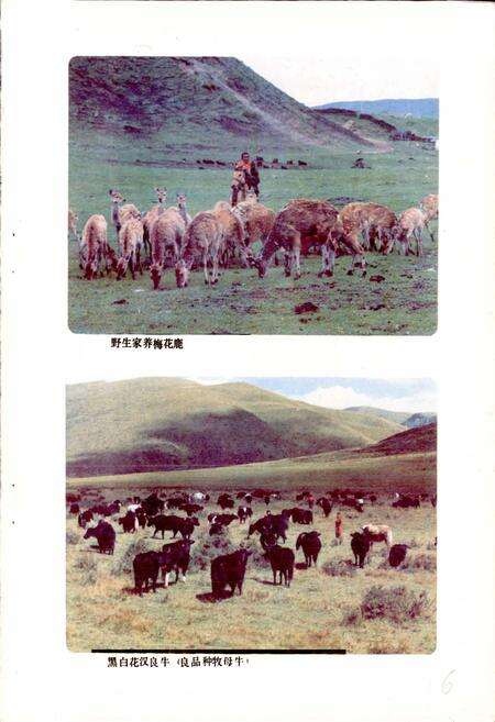 《四川省阿坝藏族自治州红原县地名录》.pdf电子版_四川省志预览图4