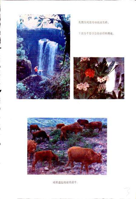 《四川省荥经县地名录》.pdf电子版_四川省志预览图4