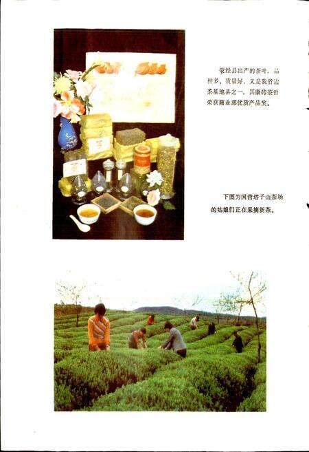 《四川省荥经县地名录》.pdf电子版_四川省志预览图5