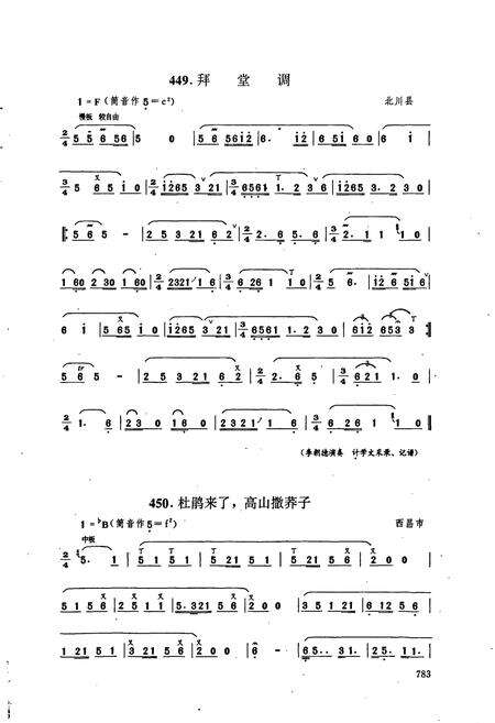 《中国民族民间器乐曲集成 四川卷·下册》.pdf电子版_四川省志预览图4