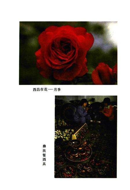 《四川省凉山彝族自治州 西昌市地名录》.pdf电子版_四川省志预览图2