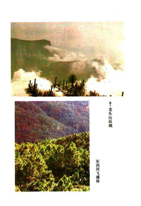 《四川省凉山彝族自治州 西昌市地名录》.pdf电子版_四川省志预览图5