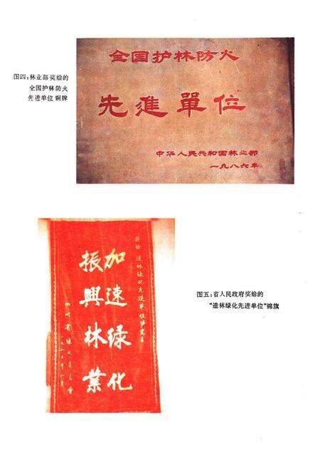 《甘孜藏族自治州泸定县林业志》.pdf电子版_四川省志预览图5