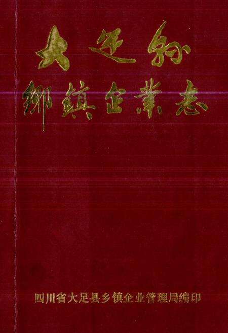 《《大足县乡镇企业志》》.pdf电子版_四川省志缩略图