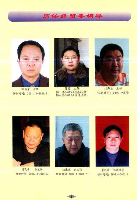 《《蓬溪县工业志(1986~2007)》》.pdf电子版_四川省志预览图5