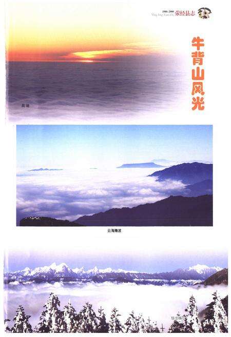 《《荥经县志(1986-2000)》》.pdf电子版_四川省志预览图5