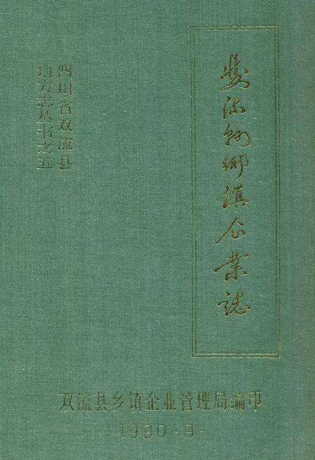 《《双流县乡镇企业志》》.pdf电子版_四川省志缩略图