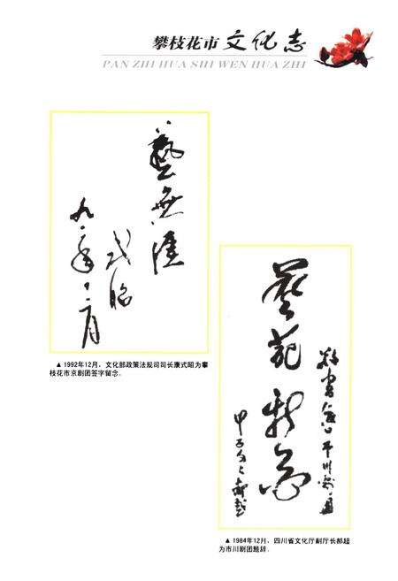 《《攀枝花市文化志(1965-2005)》》.pdf电子版_四川省志预览图3