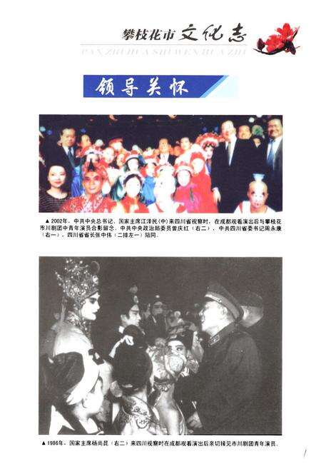 《《攀枝花市文化志(1965-2005)》》.pdf电子版_四川省志预览图4