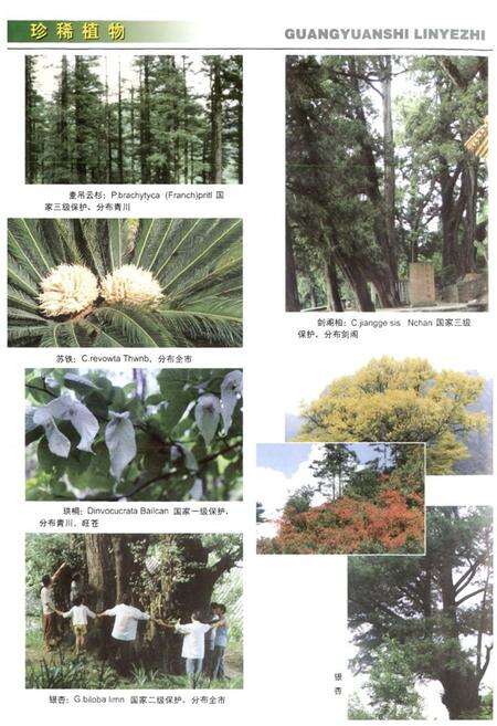 《《广元市林业志》》.pdf电子版_四川省志预览图4