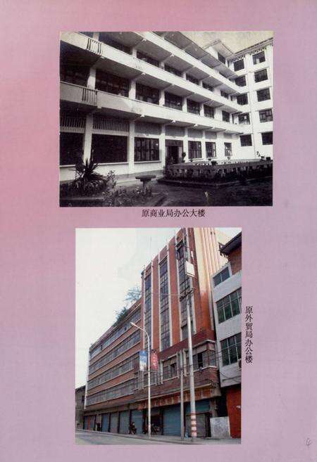 《《平昌县商务志(1913~2007)》》.pdf电子版_四川省志预览图5