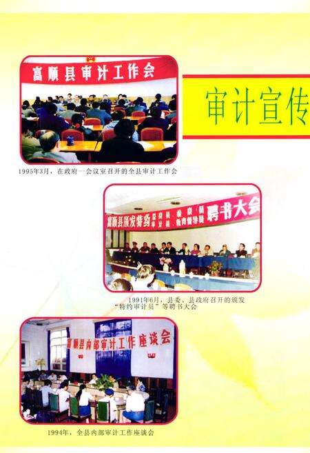 《《富顺县审计志(1984-2006)》》.pdf电子版_四川省志预览图5